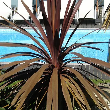 卡萨帝若昂埃内斯 - 阿范夫住宅酒店 乡村民宿 阿菲菲