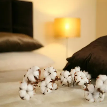 Venkovský dům Casa D' Joao Enes - Afife