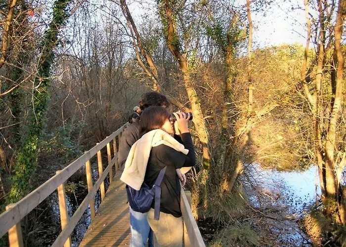 Casa D' Joao Enes - * Afife