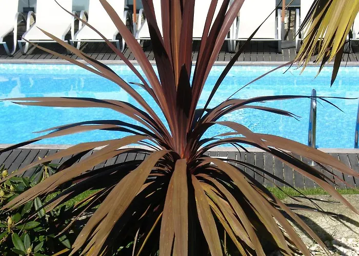 Casa D' Joao Enes - Casa rural Afife